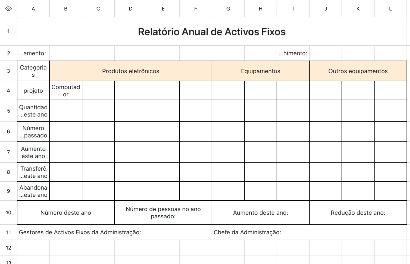 Relatório Anual de Activos Fixos